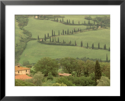 Winding Dirt Road, La Foce, Tuscany, Italy by Walter Bibikow Pricing Limited Edition Print image