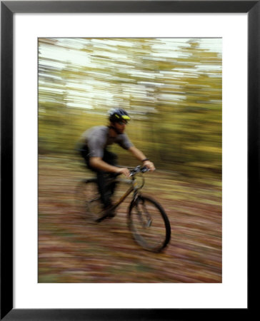 Mountain Biking On Old Logging Road, New Hampshire, Usa by Jerry & Marcy Monkman Pricing Limited Edition Print image