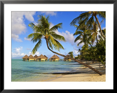 Intercontinental Moana Beach Bora Bora Bungalows by Emily Riddell Pricing Limited Edition Print image