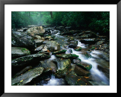 Water Flowing Over Rocks In Alum Creek, Great Smoky Mountains National Park, Tennessee by John Elk Iii Pricing Limited Edition Print image