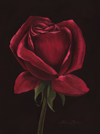 Black Ruby by Susanne Bach Pricing Limited Edition Print image
