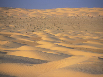 Sea Of Dunes In Sahara Desert In Late Afternoon Sunlight, Sahara Desert South Of Djerba, Tunisia by Stephen Sharnoff Pricing Limited Edition Print image