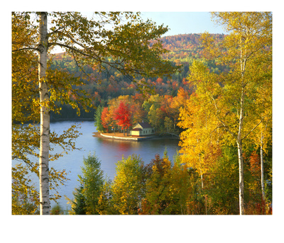 Summer Home Surrounded By Fall Colors, Wyman Lake, Maine, Usa by Steve Terrill Pricing Limited Edition Print image