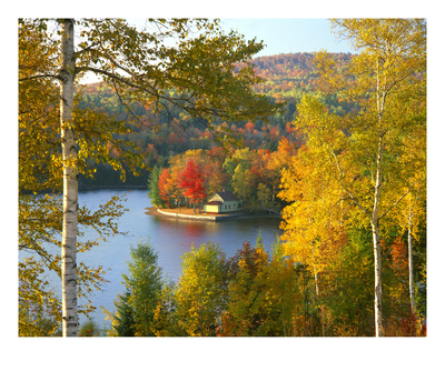 Summer Home Surrounded By Fall Colors, Wyman Lake, Maine, Usa by Steve Terrill Pricing Limited Edition Print image