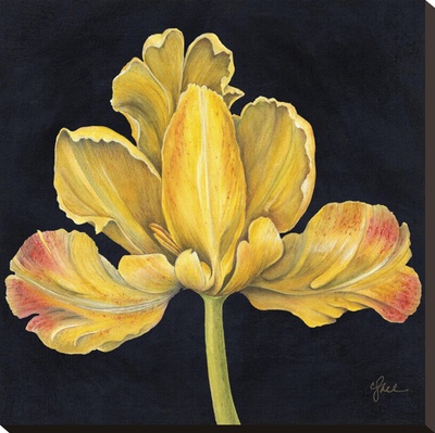 Iris Jaune by Constance Lael Pricing Limited Edition Print image