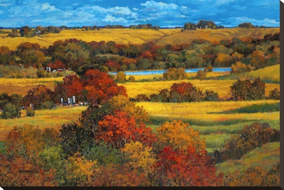 Land Of The Midwest by Kairong Liu Pricing Limited Edition Print image