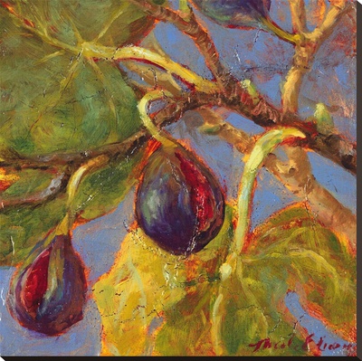 Ripe Figs by Nicole Etienne Pricing Limited Edition Print image
