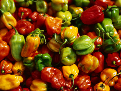 Capsicums At Brixton Market, Brixton, London, England by Setchfield Neil Pricing Limited Edition Print image