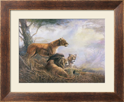 Forbidden Territory by Ruane Manning Pricing Limited Edition Print image