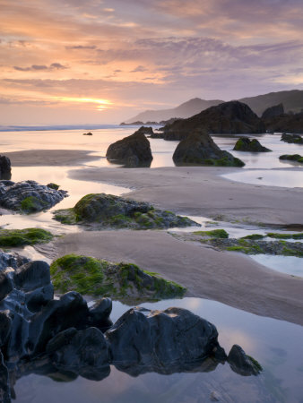 Rockpools And Sand At Combesgate Beach In North Devon, England by Adam Burton Pricing Limited Edition Print image