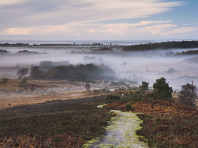 Mist Hangs In Valleys Seen From Vereley Hill, Hampshire, England by Adam Burton Pricing Limited Edition Print image
