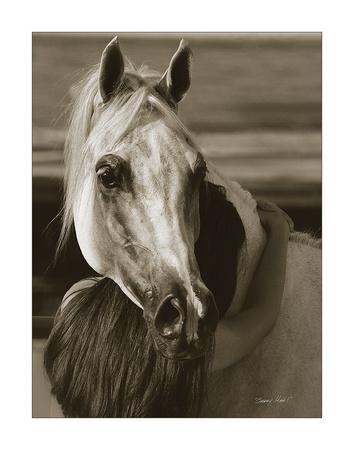 Girl’S Best Friend by Barry Hart Pricing Limited Edition Print image