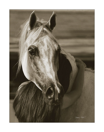 Girl's Best Friend by Barry Hart Pricing Limited Edition Print image