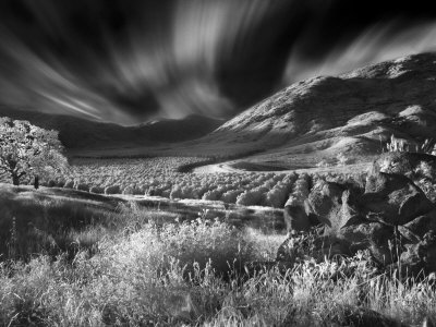 Valley With Trees, California by Images Monsoon Pricing Limited Edition Print image