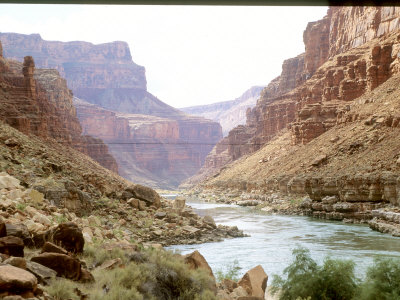 Beauty Of The Grand Canyon And The Colorado River by David Edwards Pricing Limited Edition Print image