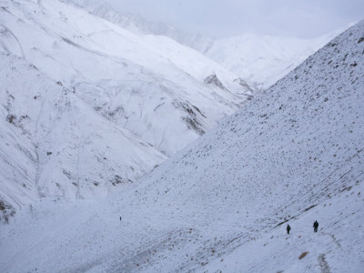 Researchers Walking Back To Camp, Karlum Ridge In Hemis National Park by Steve Winter Pricing Limited Edition Print image