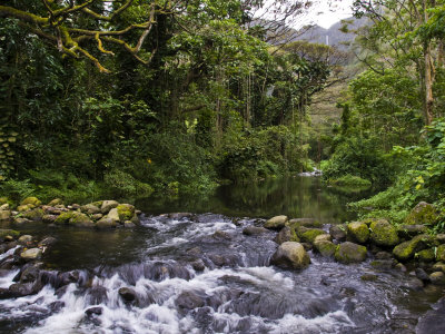 River Flows Over Rocks In The Waipi'o Valley by Todd Gipstein Pricing Limited Edition Print image