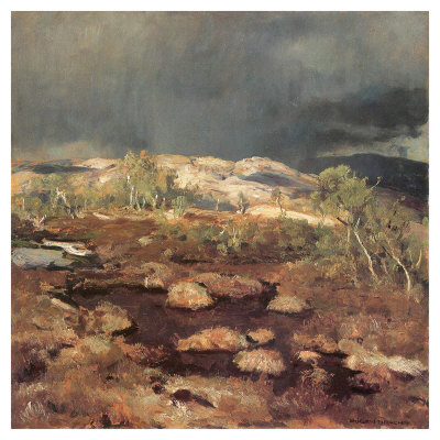 Rain Shower In A Bog In Norway by Eugen Bracht Pricing Limited Edition Print image