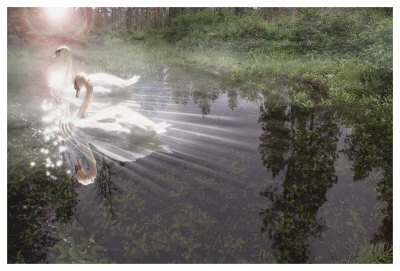 Magic Swan by Steve Hunziker Pricing Limited Edition Print image