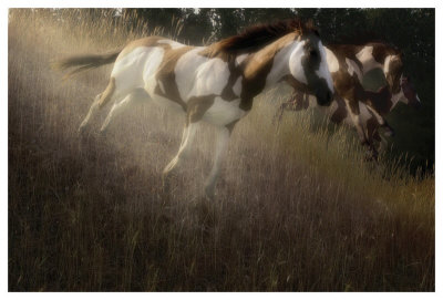 Running Paint by Steve Hunziker Pricing Limited Edition Print image