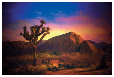 Desert Colors by Stephanie Laird Pricing Limited Edition Print image