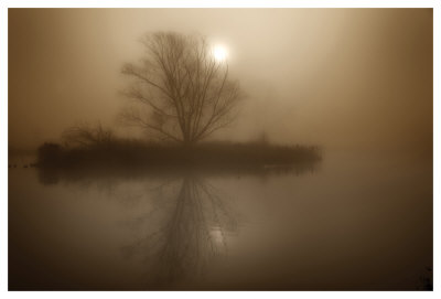 Foggy Island Sepia by Dan Magus Pricing Limited Edition Print image