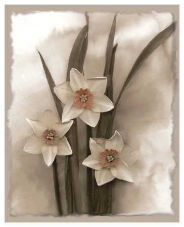 Narcissi Seduction by Richard Sutton Pricing Limited Edition Print image