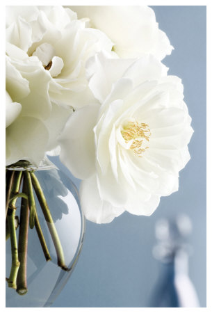 White Roses Bouquet by Christine Zalewski Pricing Limited Edition Print image