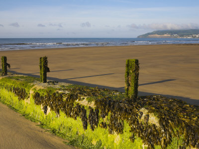 Golden Sandy Beach At Sandown On The South Coast Of The Island, Sandown, Isle Of Wight, England, Uk by Adam Burton Pricing Limited Edition Print image