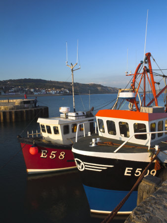 Fishing Vessels Moored Safely To The Cobb In Lyme Regis Harbour, Lyme Regis, Dorset, England, Uk by Adam Burton Pricing Limited Edition Print image