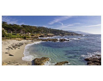 17 Mile Drive Monterey by Michael Polk Pricing Limited Edition Print image