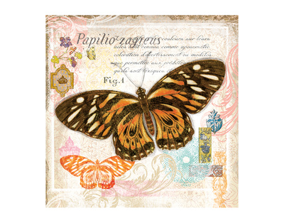 Butterfly Artifact Pink by Alan Hopfensperger Pricing Limited Edition Print image