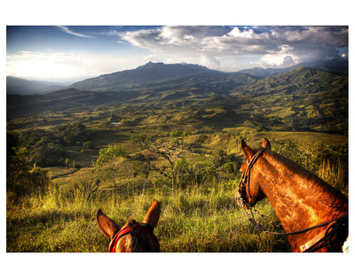 Horses With Mountain View by Nish Nalbandian Pricing Limited Edition Print image