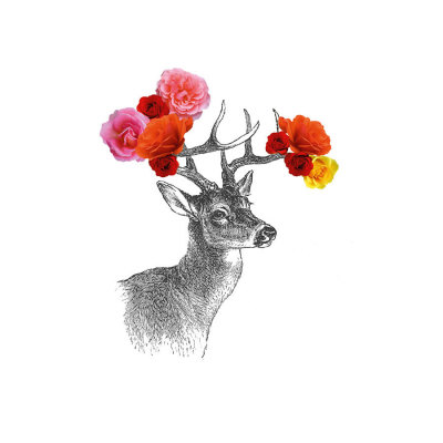 Deer by John Murphy Pricing Limited Edition Print image
