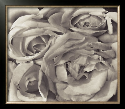 Roses, Mexico by Tina Modotti Pricing Limited Edition Print image