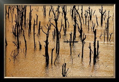 Pecheur Sur Le Lac De Kossou by Yann Arthus-Bertrand Pricing Limited Edition Print image