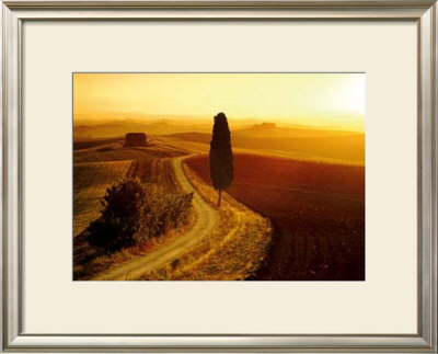 Sinies Crete, Tuscany by Fabio Muzzi Pricing Limited Edition Print image