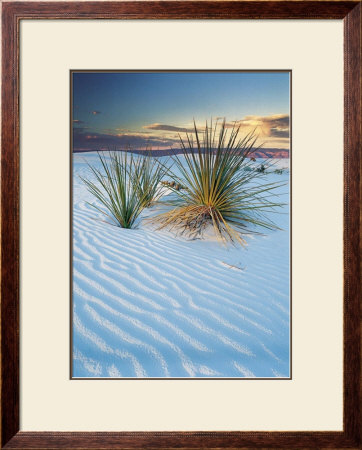 New Mexico by Cassaigne Pricing Limited Edition Print image