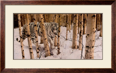 Silent Majesty by Robert R. Copple Pricing Limited Edition Print image