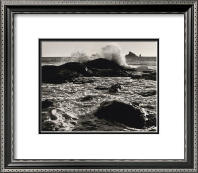 Roar Of The Ocean by Brett Aniballi Pricing Limited Edition Print image