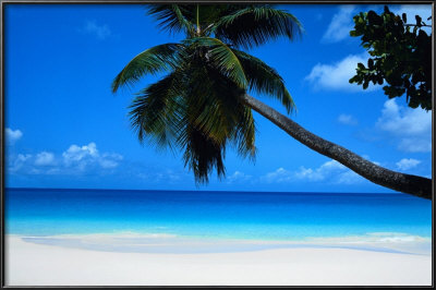 Seychelles by Mark Karrass Pricing Limited Edition Print image