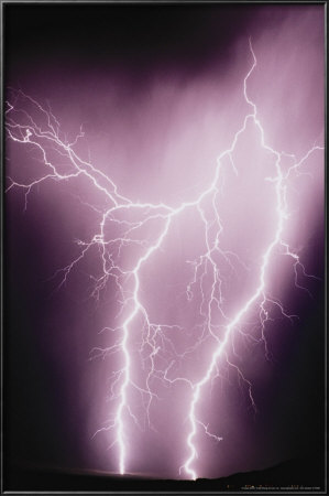 Lightening by Susan Strom Pricing Limited Edition Print image