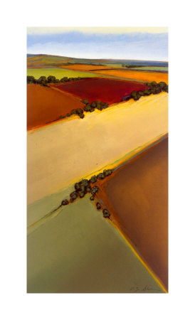 Aerial Plains 2 by Don Bradshaw Pricing Limited Edition Print image