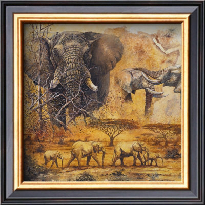 Safari Ii by Peter Blackwell Pricing Limited Edition Print image