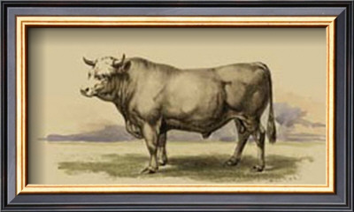 Antique Cow I by Julian Bien Pricing Limited Edition Print image