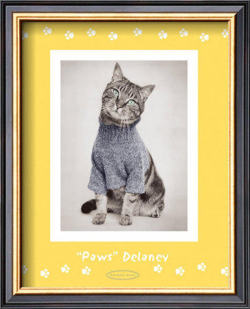 Paws Delaney by Rachael Hale Pricing Limited Edition Print image
