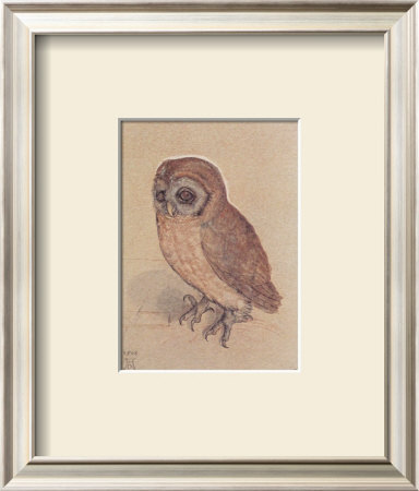 The Owlet by Albrecht Durer Pricing Limited Edition Print image