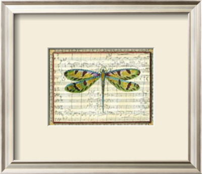 Dragonfly Harmony I by Albertus Seba Pricing Limited Edition Print image