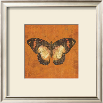 Apricot Butterfly by Katie Pertiet Pricing Limited Edition Print image