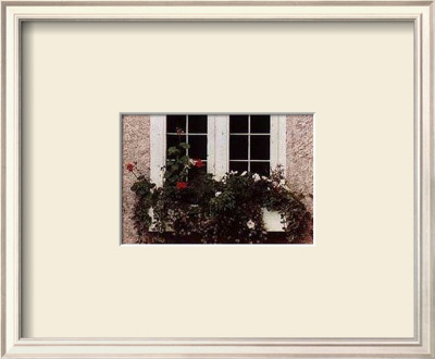 Window Box by Dick & Diane Stefanich Pricing Limited Edition Print image